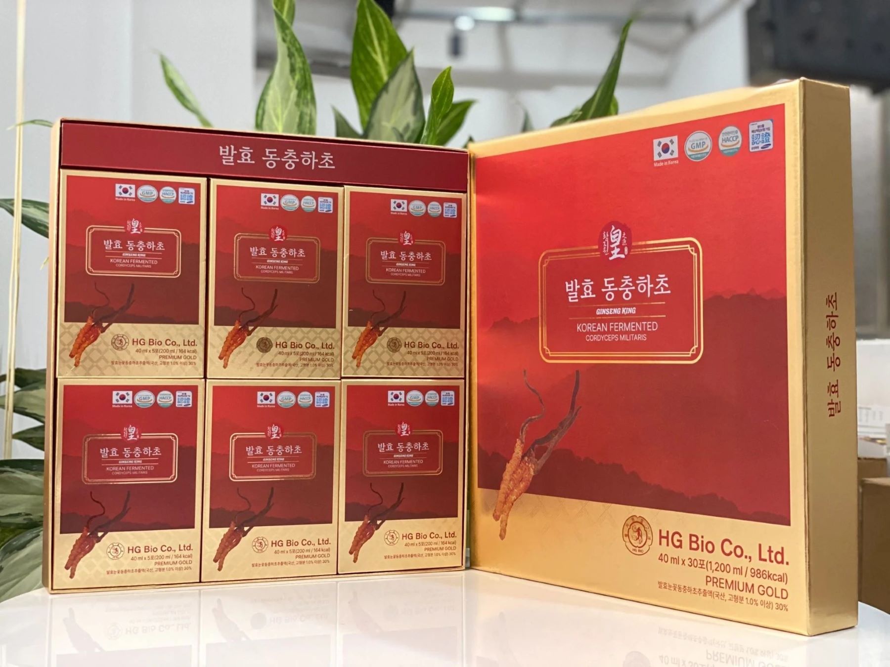 Nước đông trùng hạ thảo lên men Ginseng King 30 gói 40ml